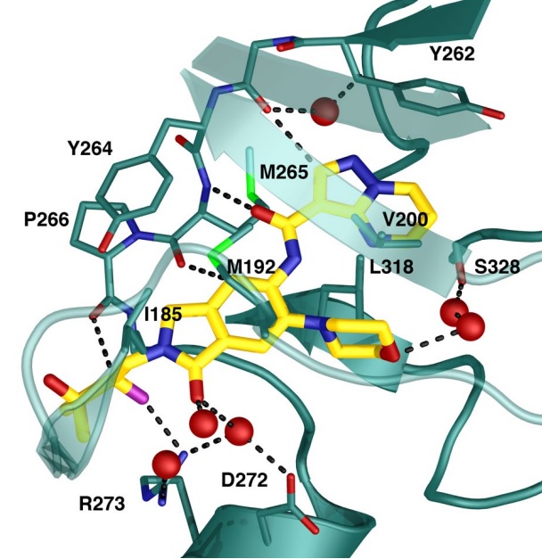 Structure of chemical probe GNE-2256