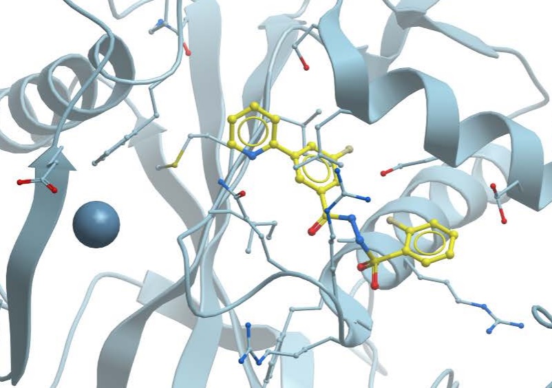 WM-1119 binding site